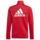 Adidas Παιδικές φόρμες σετ Essentials Big Logo Tracksuit